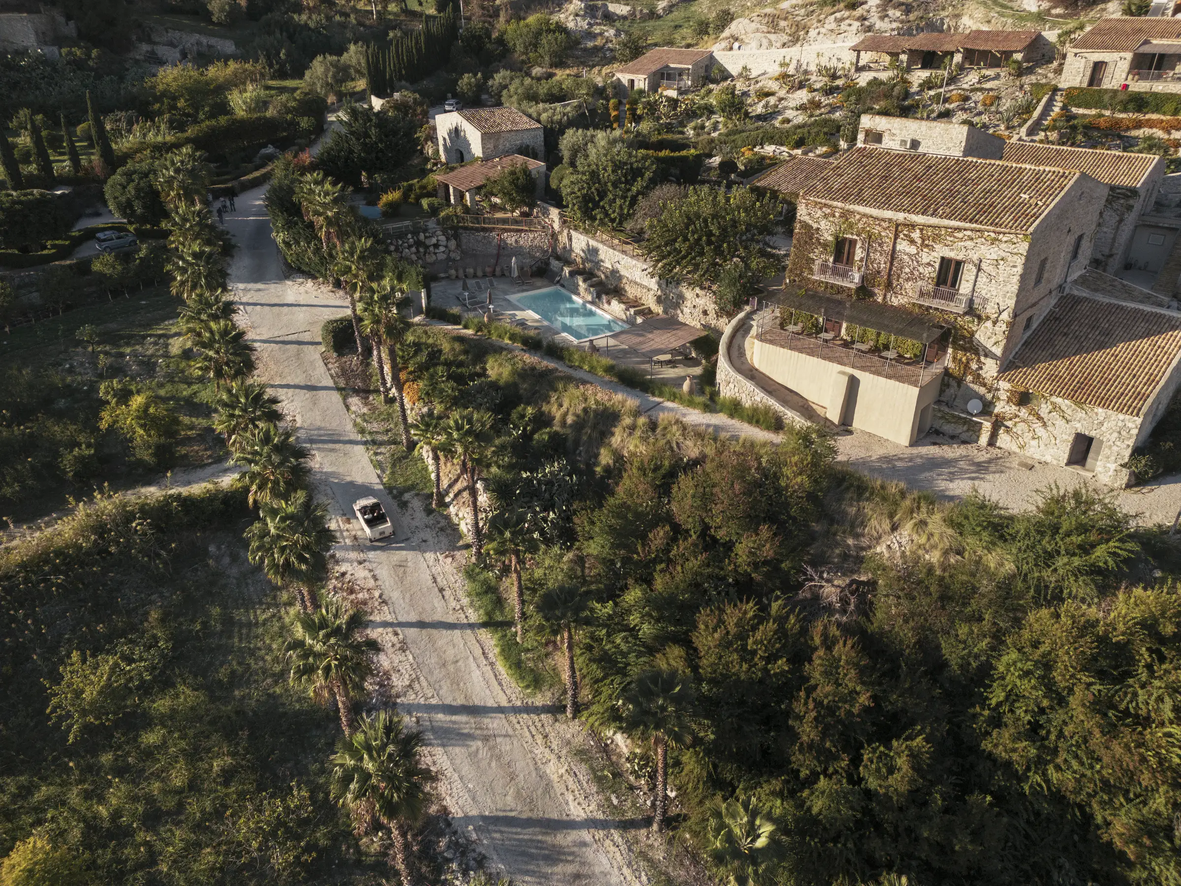 Vista dall'alto del viale di palme e della piscina della Masseria